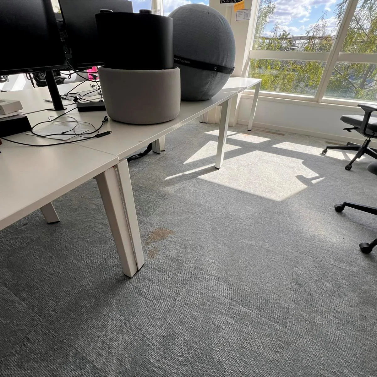 Avant — Moquette de bureau