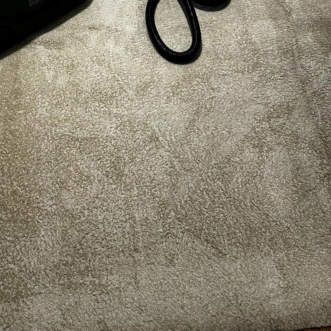Avant — Tapis clair