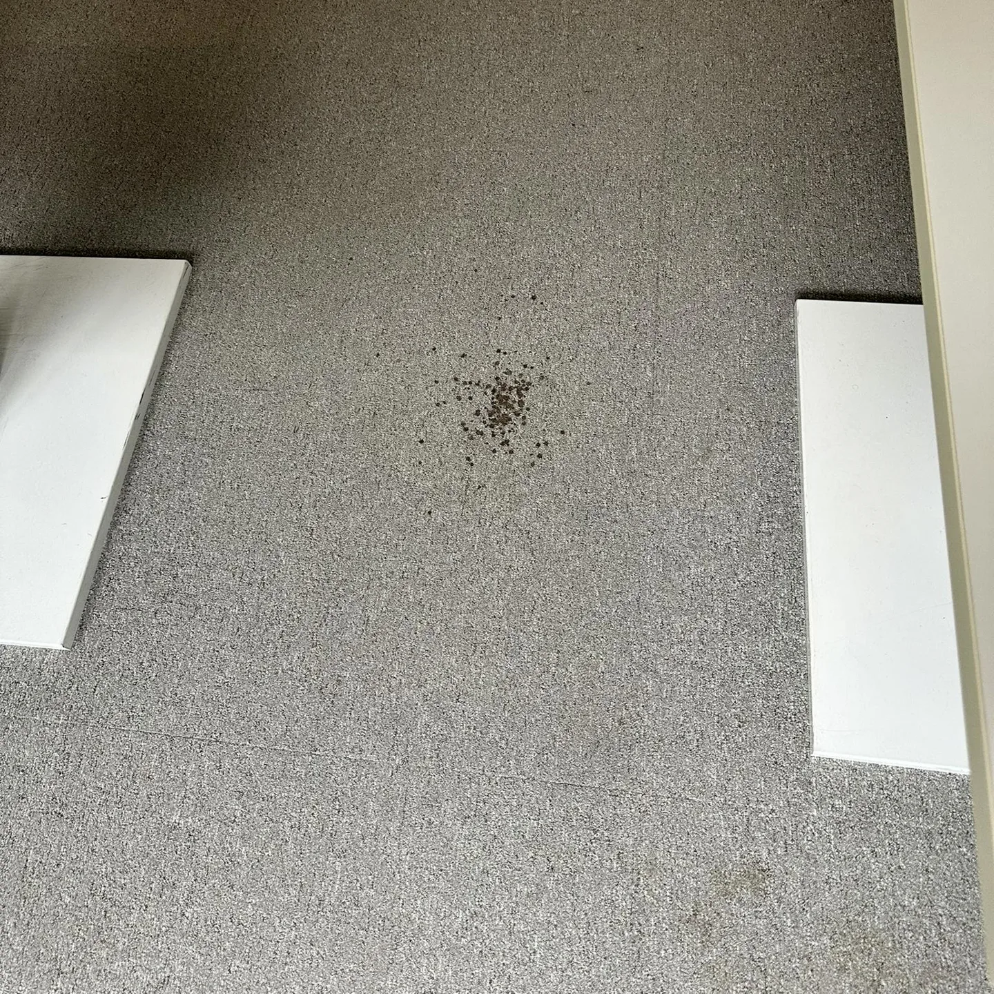 Avant — Moquette sous bureau